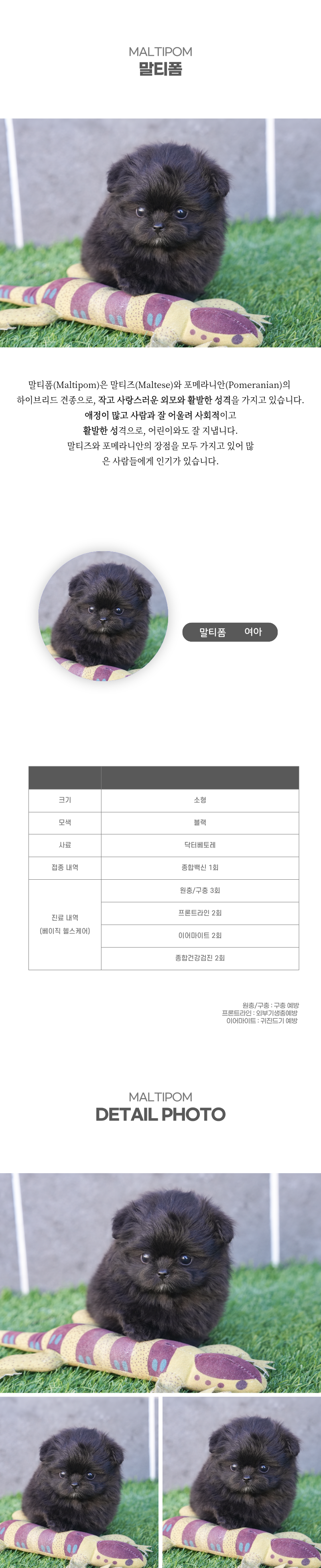 말티폼_상세이미지_2